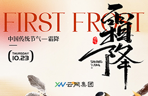 濕冷開局，鄭州人的霜降指南